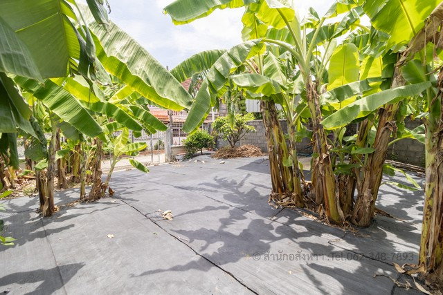 รูป ขายที่ดินถมแล้ว 84 ตร.ว. ซอยลาดพร้าว 106 รูปแปลงสวย ถมสูง มีรั้วครบ เหมาะปลูกบ้าน/โฮมออฟฟิศ ใกล้รถไฟฟ้า MRT ลาดพร้าว 71 - รูปที่ 8/10