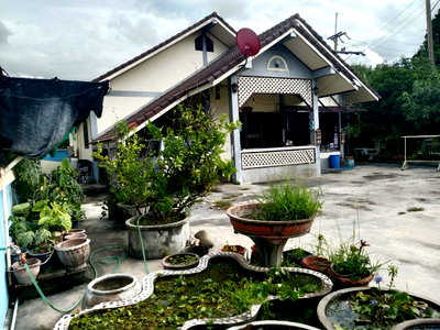 บ้านเดี่ยว วิทยาลัยนาฏศิลปอ่างทอง : ขายบ้านเดี่ยว ในเมือง เนื้อที่ 111 ตรว .  