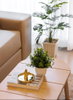 listing thumbnail image 10