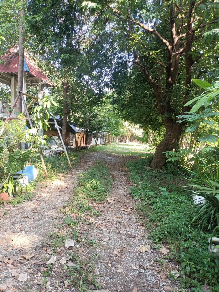 รูป ขายที่ดิน5ไร่2 งาน 69 ตรว  ฟรีบ้านเดี่ยวชั้นเดียว1 หลัง - รูปที่ 31/47