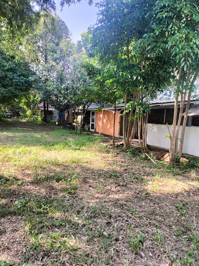รูป ขายที่ดิน5ไร่2 งาน 69 ตรว  ฟรีบ้านเดี่ยวชั้นเดียว1 หลัง - รูปที่ 37/47