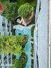 listing thumbnail image 11