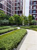 listing thumbnail image 13