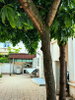 listing thumbnail image 3