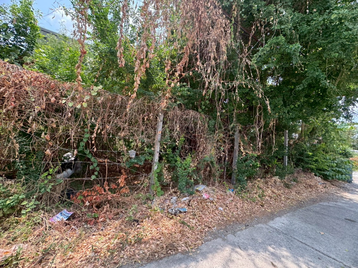 picture Vacant land for rent, leveled and ready for construction, On Nut 40, size 216 square wa (30,000 THB/month) (N.2087) - 2/6
