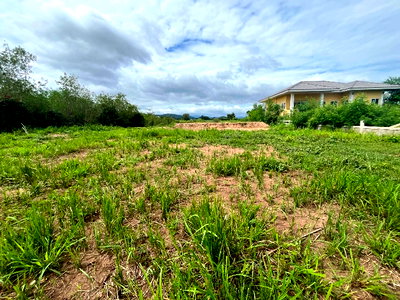Land for sale Pak Chong Nakhon Ratchasima : land for sale pak chong khaoyai thai land