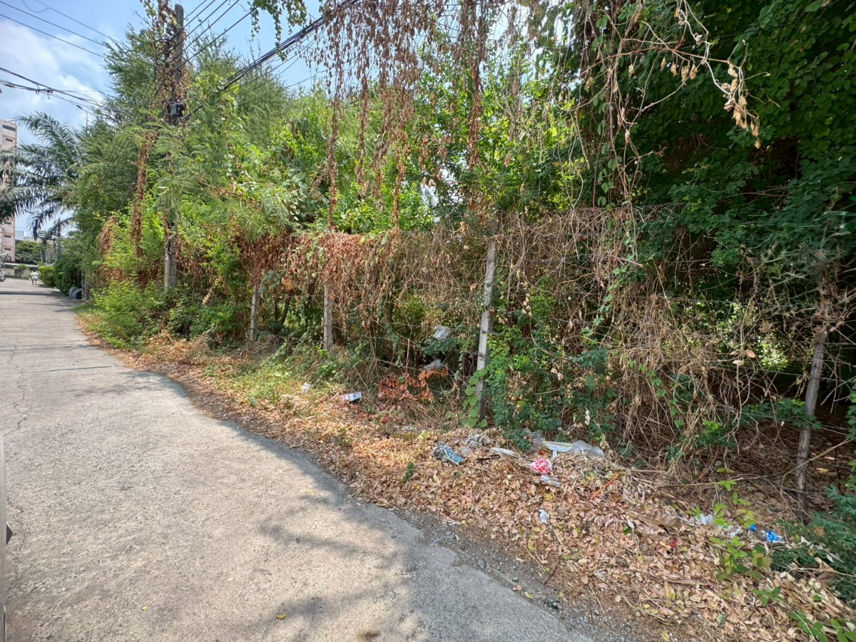 picture Vacant land for rent, leveled and ready for construction, On Nut 40, size 216 square wa (30,000 THB/month) (N.2087) - 4/6