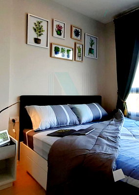 Condos for rent : For Rent Condo ICONDO GREEN SPACE SUKHUMVIT 77 PHASE 2 Building 1, Floor 6,1 bed room, Room size 25 sqm