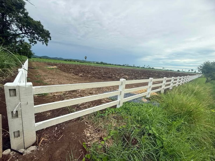 picture Land for sale, 1 rai starting at 1,250 THB/sq.wa, near Uthong main road. - 9/9