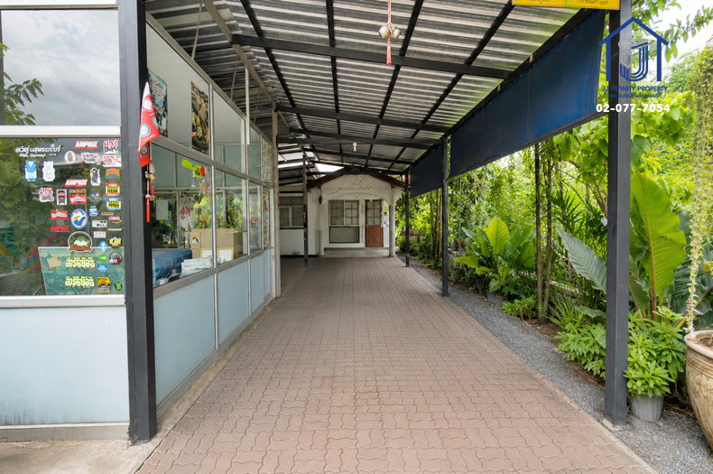 รูป ขายบ้านเดี่ยว 100 ตารางวา ซอยคลองสาม1 / 11 ถนนรังสิต-นครนายก ใกล้ทางด่วนวงแหวนกาญจนาภิเษก - รูปที่ 3/10
