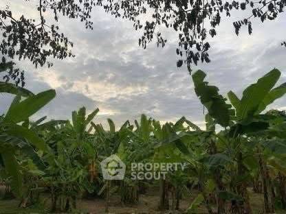 รูป ที่ดินขายใกล้สนามบินนานาชาติเชียงใหม่ (ID 3165835) - รูปที่ 2/3