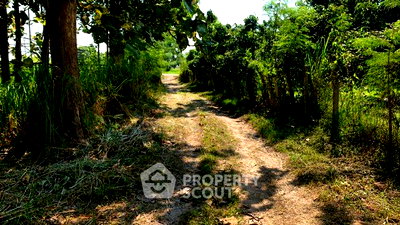 Land for sale San Pa Tong Chiang Mai : Land For Sale In Nam Bo Luang, San Pa Tong, Chiang Mai (ID 3170090)