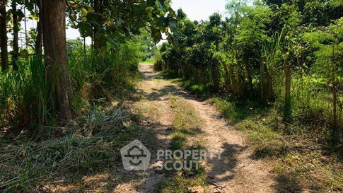Land For Sale In Nam Bo Luang, San Pa Tong, Chiang Mai (ID 3170090)