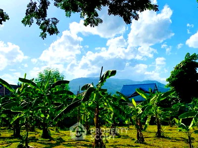 Land for sale Muang Chiang Mai Chiang Mai : Land For Sale Near Chiang Mai International Airport (ID 3165835)