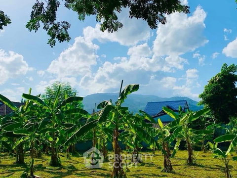 ที่ดินขายใกล้สนามบินนานาชาติเชียงใหม่ (ID 3165835)