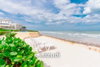 listing thumbnail image 38