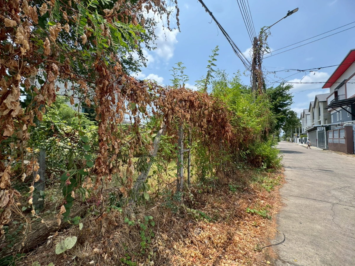picture Vacant land for rent, leveled and ready for construction, On Nut 40, size 216 square wa (30,000 THB/month) (N.2087) - 6/6