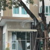 listing thumbnail image 9