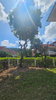 listing thumbnail image 4