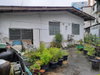 listing thumbnail image 12