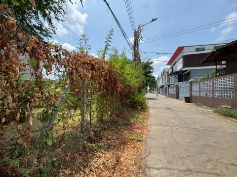 Vacant land for rent, leveled and ready for construction, On Nut 40, size 216 square wa (30,000 THB/month) (N.2087)