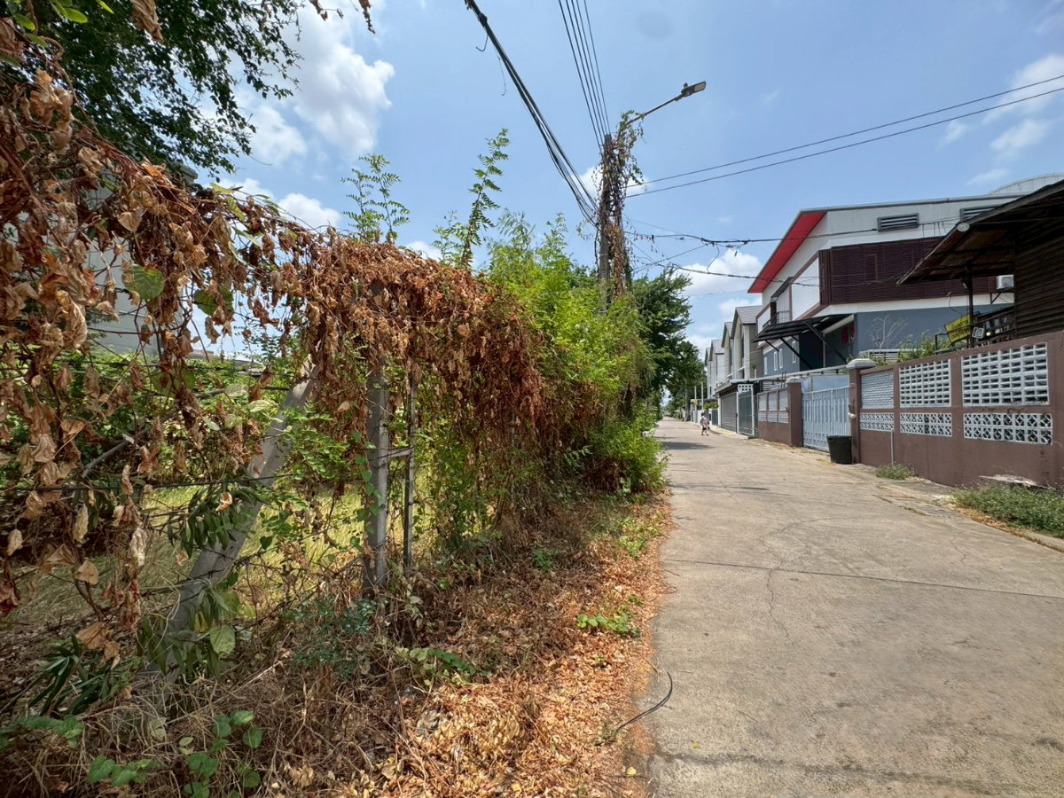 picture Vacant land for rent, leveled and ready for construction, On Nut 40, size 216 square wa (30,000 THB/month) (N.2087) - 1/6