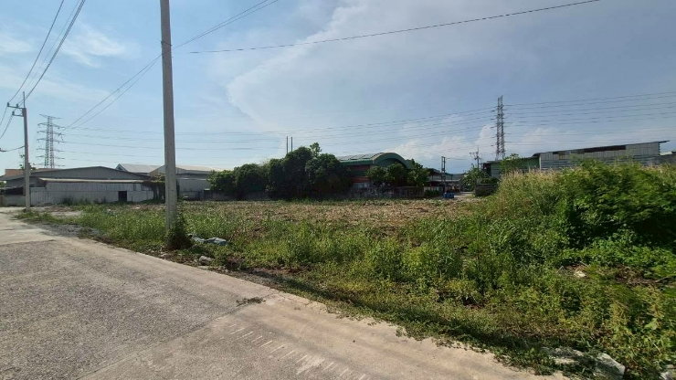picture "Land for Rent 2.5 Rai, Na Di, Samut Sakhon. Wide frontage, concrete road, dual access (front & back). Ideal for warehouse. Divisible for rent. " - 11/18