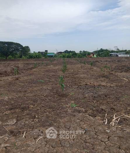 รูป ที่ดินขายทำเลราชาเทวา ใกล้สนามบินสุวรรณภูมิ (ID 3169844) - รูปที่ 7/8