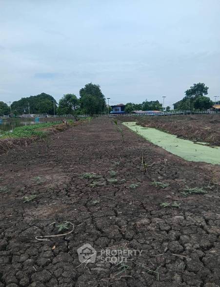 รูป ที่ดินขายใกล้สนามบินสุวรรณภูมิ ย่านราชาเทวะ บางพลี (ID 3169843) - รูปที่ 8/8