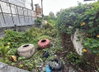 listing thumbnail image 3