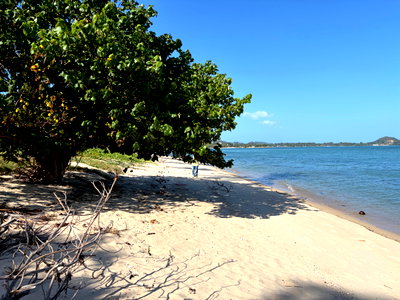 Land for sale Ko Samui Surat Thani : Beachfront land for sale Koh Samui 