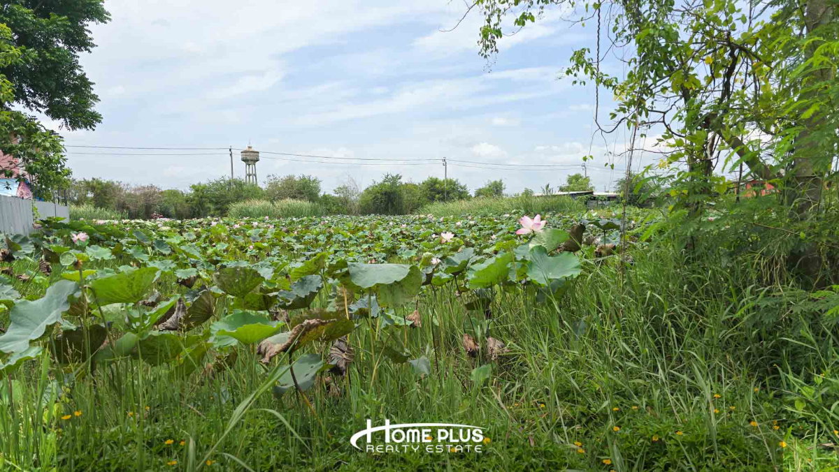 picture Vacant Land for Sale – Kehakankaset 37 Village - 4/12
