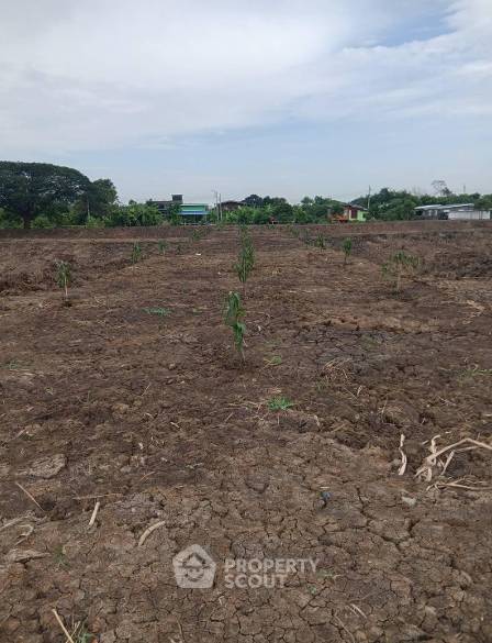รูป ที่ดินขายใกล้สนามบินสุวรรณภูมิ ย่านราชาเทวะ บางพลี (ID 3169843) - รูปที่ 7/8