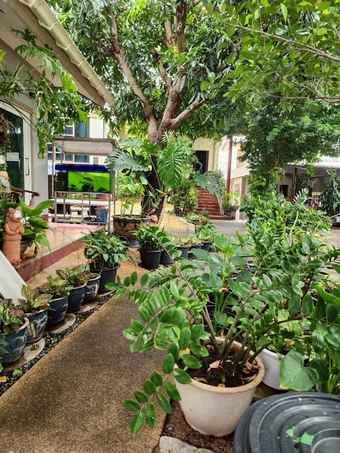 รูป บ้านพัทยา ซอยเขาน้อย 4นอน 3น้ำ.. - รูปที่ 4/7