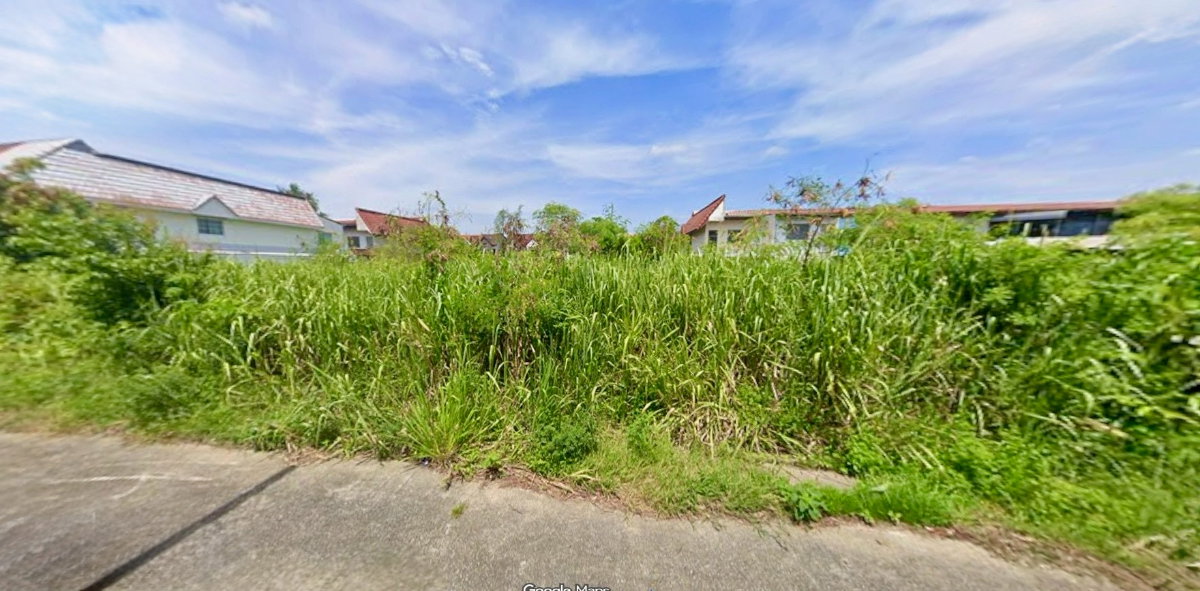 รูป ขายที่ดิน ซอยถนนรังสิต - นครนายก 60 - 62 ธัญบุรี เดินทางสะดวกสบาย ใกล้แหล่งชุมชน (N.2193) - รูปที่ 5/8
