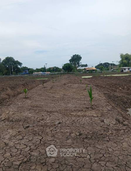รูป ที่ดินขายใกล้สนามบินสุวรรณภูมิ ย่านราชาเทวะ บางพลี (ID 3169843) - รูปที่ 6/8