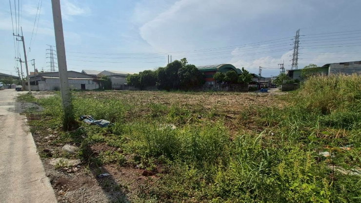picture "Land for Rent 2.5 Rai, Na Di, Samut Sakhon. Wide frontage, concrete road, dual access (front & back). Ideal for warehouse. Divisible for rent. " - 9/18