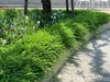 listing thumbnail image 22