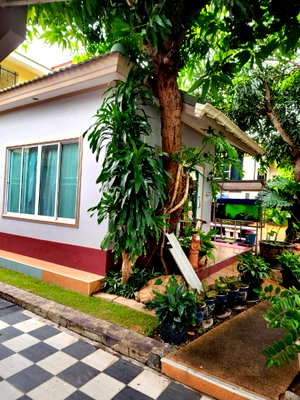 Houses for sale Chonburi : lanforlale pattaya..............