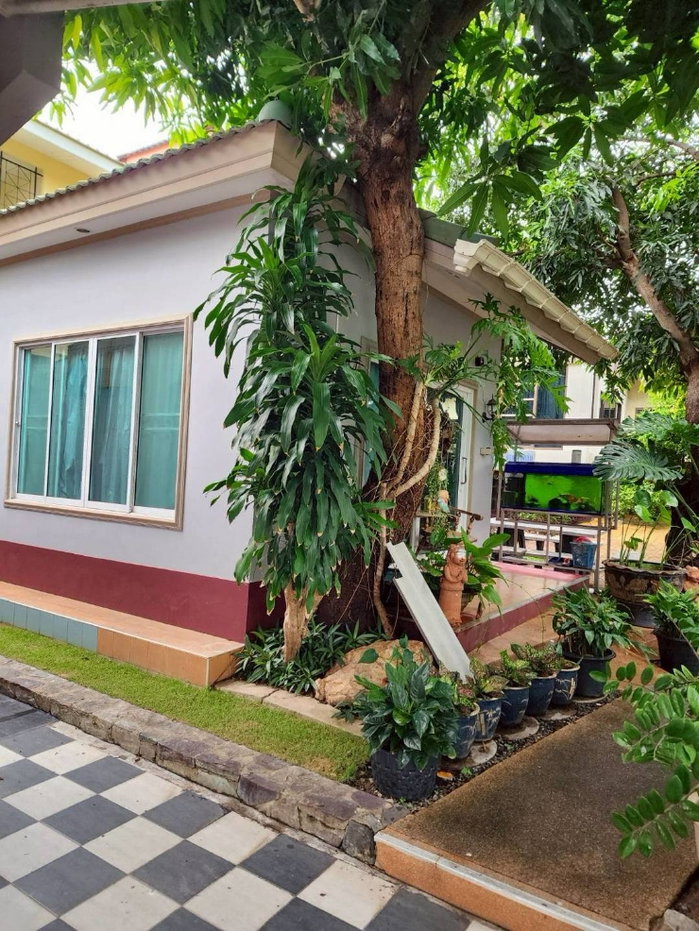 picture lanforlale pattaya.............. - 1/8