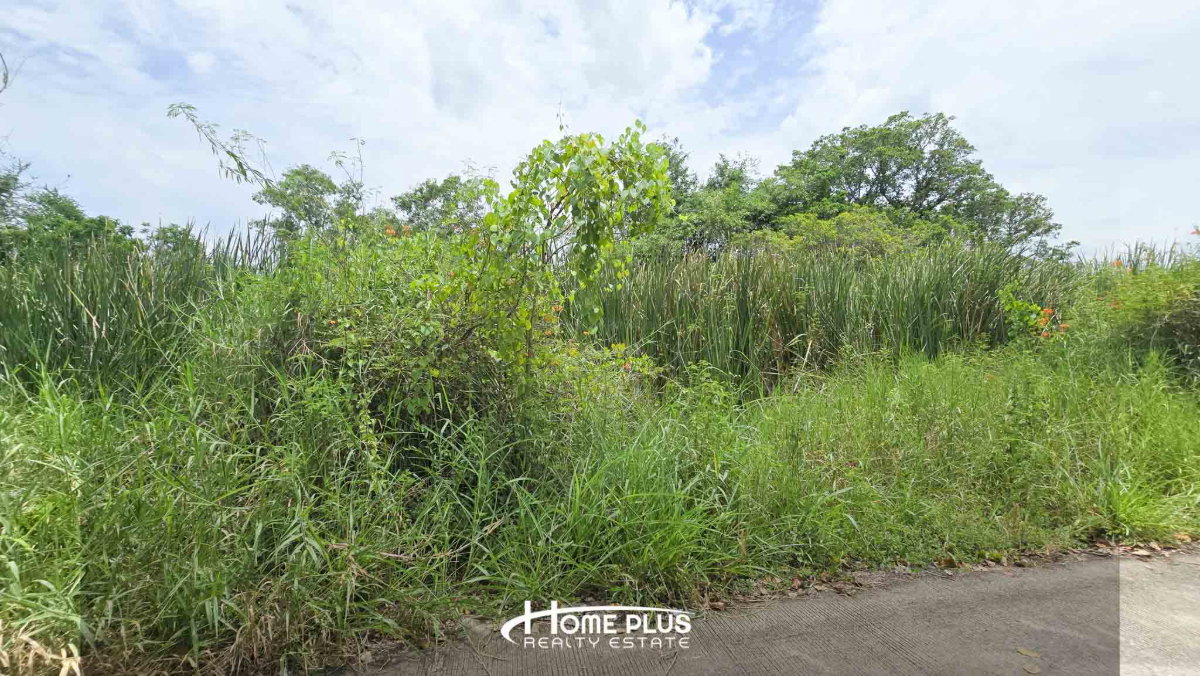picture Vacant Land for Sale – Kehakankaset 37 Village - 7/12