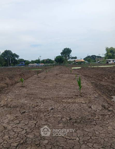 รูป ที่ดินขายทำเลราชาเทวา ใกล้สนามบินสุวรรณภูมิ (ID 3169844) - รูปที่ 6/8