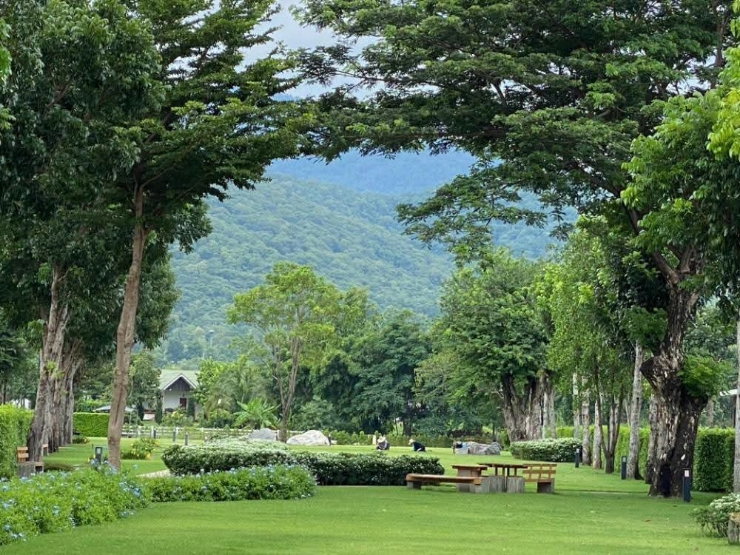รูป ขายบ้านเดี่ยวเขาใหญ่
SCG HEIM
[Crea Khao Yai] - รูปที่ 8/15