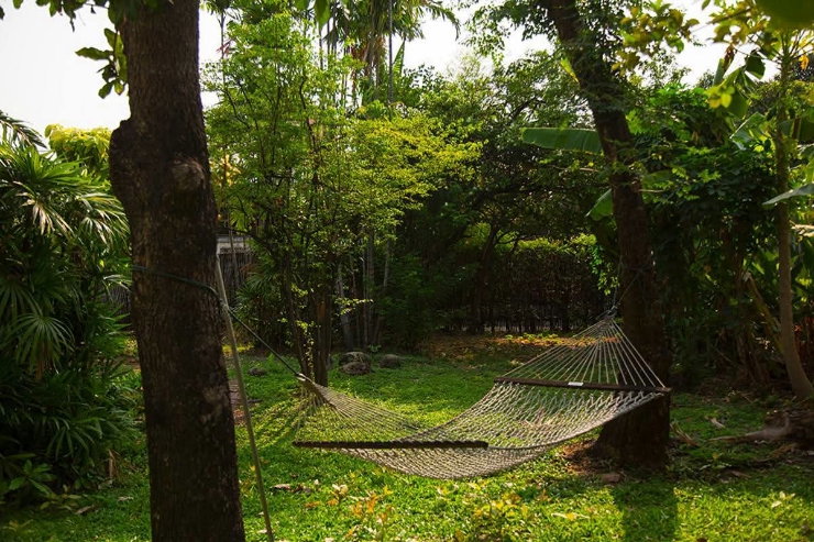 รูป ขายบ้านเดี่ยวสไตล์ Thai Contemporary ใจกลางอินทามระ (รัชดาภิเษก,ห้วยขวาง)
- รูปที่ 33/33
