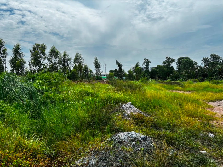 picture P0844/[For Rent] Vacant Land 5 Rai (2,000 Sq.Wah) in Mahachai, Samut Sakhon  - 5/8