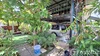 listing thumbnail image 52