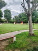 listing thumbnail image 11
