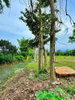 listing thumbnail image 4