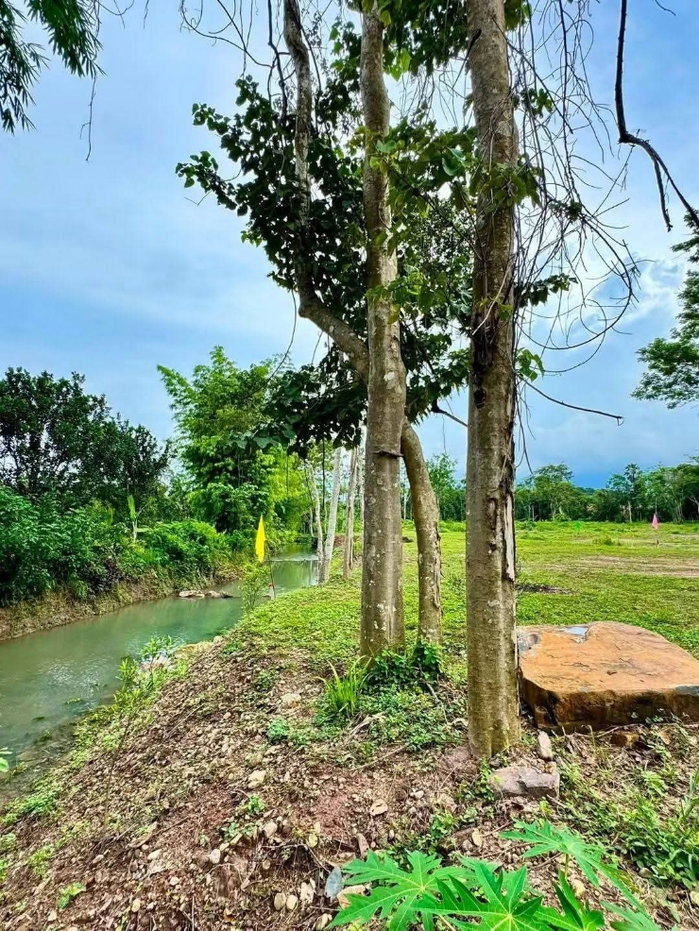 picture Gorgeous plot of land for sale with a clear title deed, blessed with a beautiful running stream passing through. - 5/7