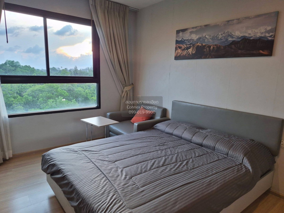 picture For Rent Condo , Zcape condo , Choeng Thale , Thalang , Phuket , CX-168629 ✅ Live chat with us ADD LINE @connexproperty ✅ - 3/7